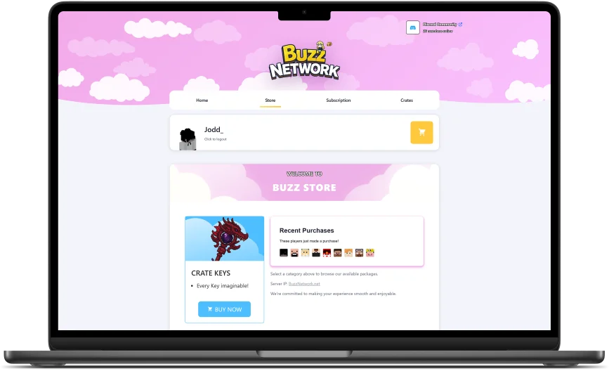 BuzzNetwork: Website auf einem Laptop